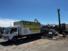 Best Demolition Debris Removal  in Lake Holiday, IN